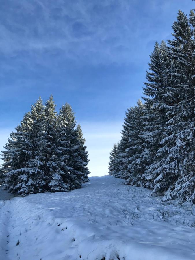 Ferienwohnung Morgentau Am Rande Der Wildnis Sibratsgfäll Dış mekan fotoğraf