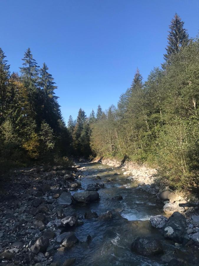 Ferienwohnung Morgentau Am Rande Der Wildnis Sibratsgfäll Dış mekan fotoğraf